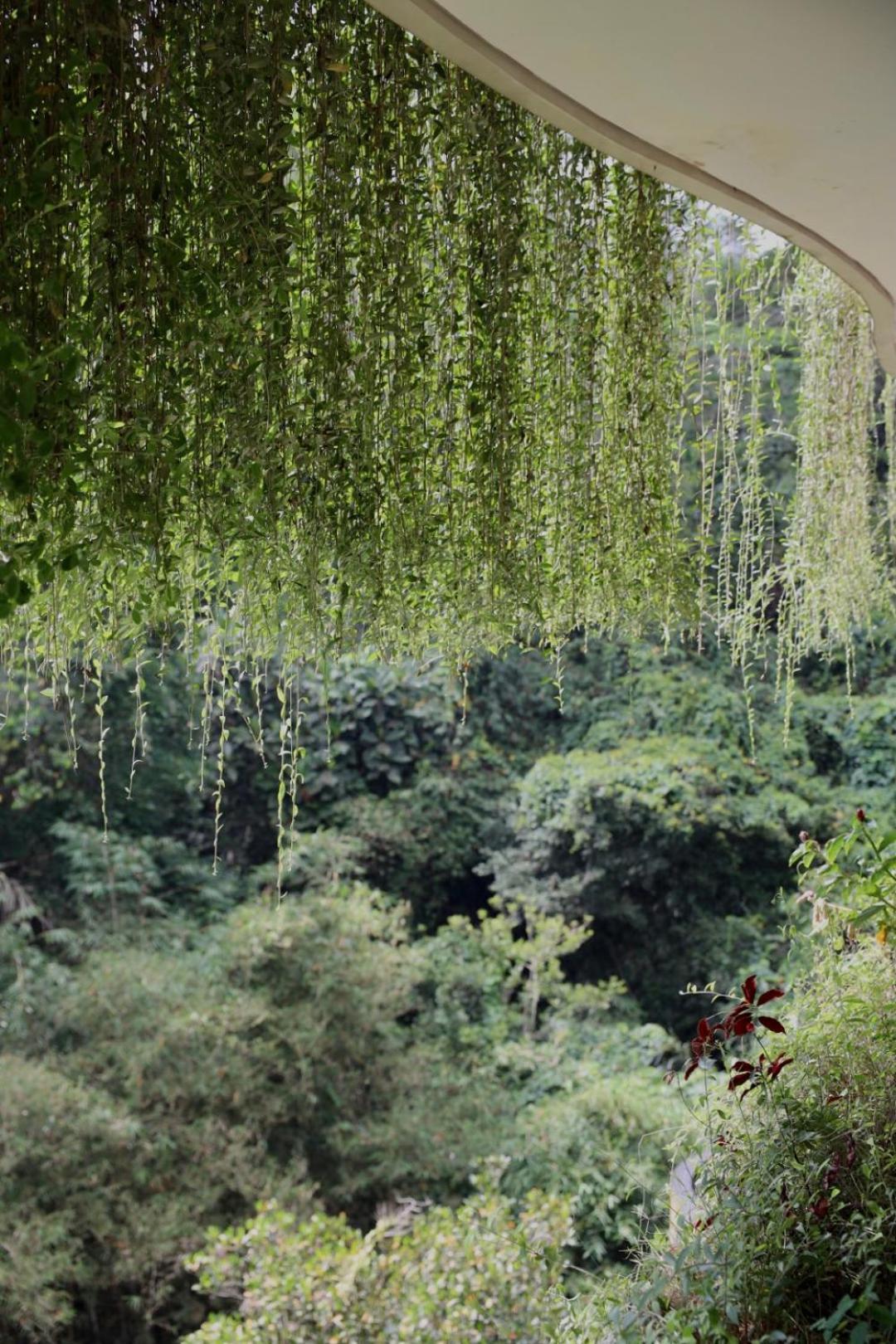 Kenran Resort Ubud By Soscomma Exteriér fotografie
